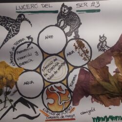 Lucero del SER #3 – Todo es energía, frecuencia y vibración