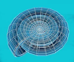 Caracol espiral InnMentor
