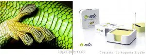 Sequoia Studio e-note y el pegamento Gecko — Biomímesis — InnMentor