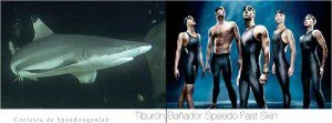 Speedo Fastskin — Ejemplo biomímesis — InnMentor