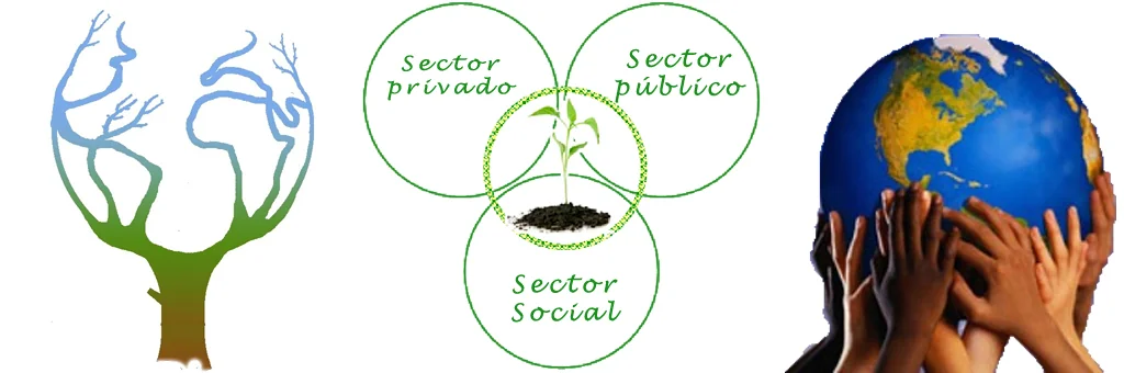Banner — Cuarto Sector Económico — InnMentor